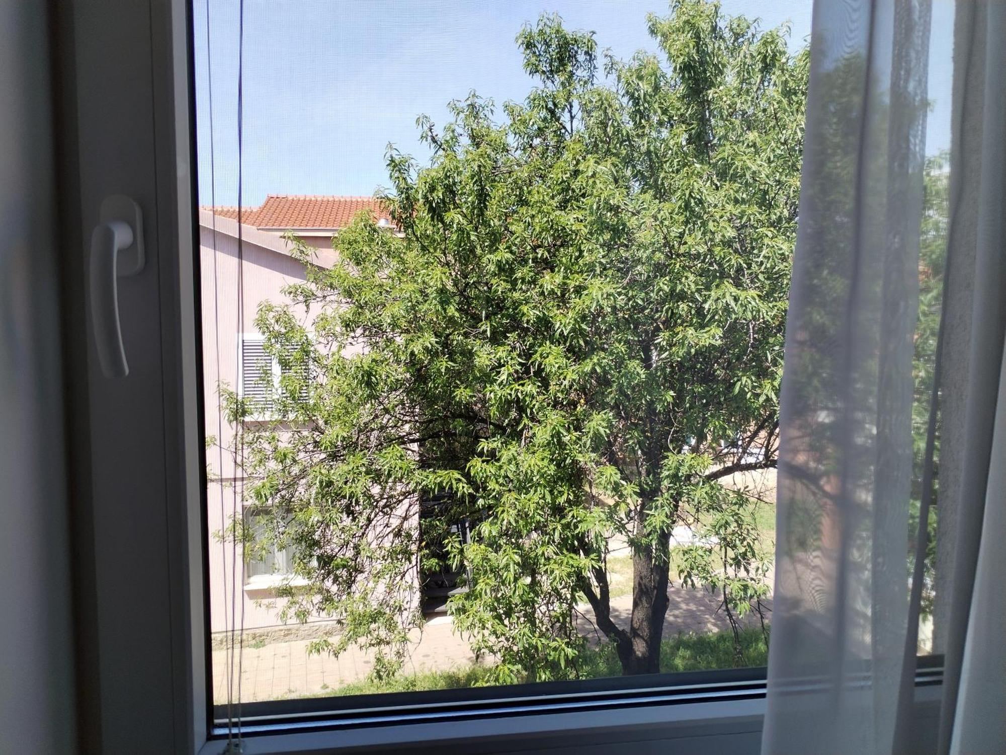 Family Apartment B&B Biograd Na Moru Exteriör bild
